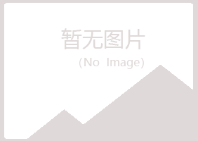 阳山县骤变能源有限公司